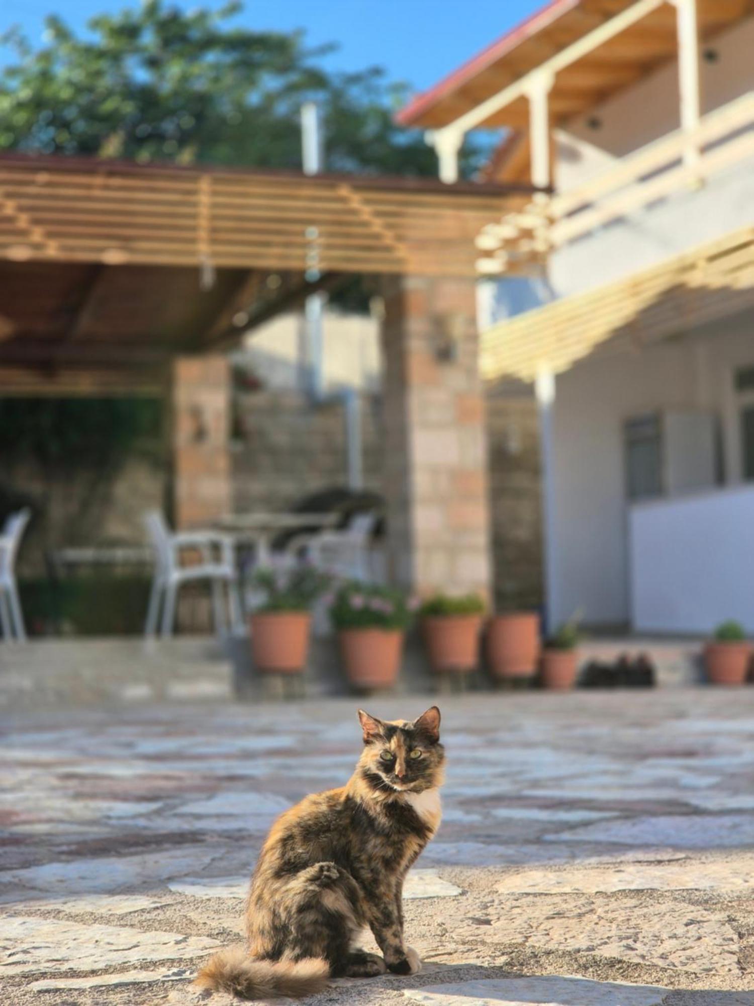 Villa Josana Sarandë Eksteriør bilde