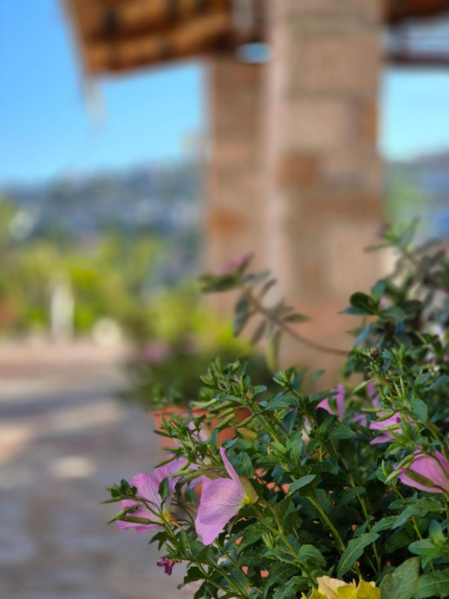 Villa Josana Sarandë Eksteriør bilde
