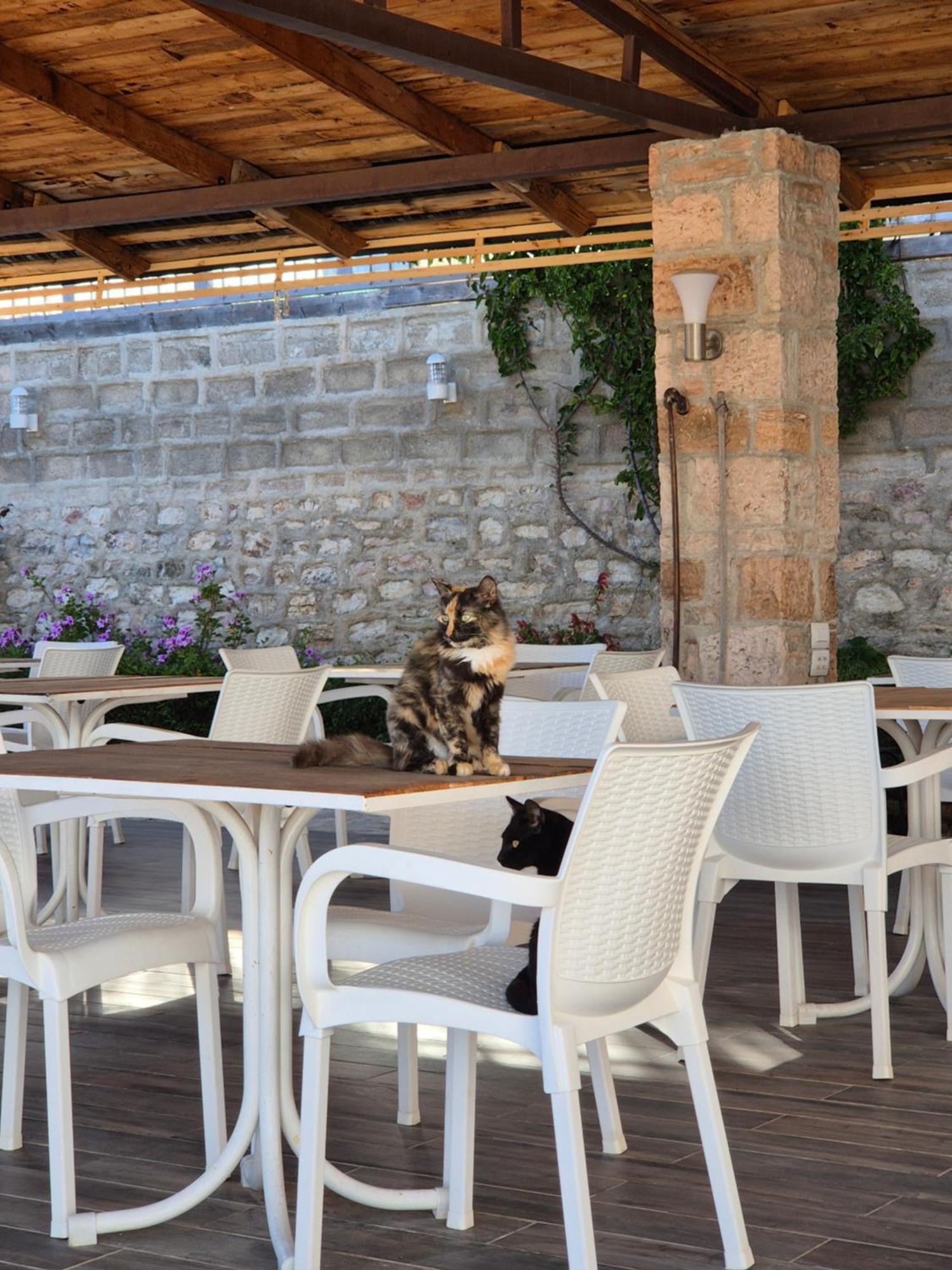 Villa Josana Sarandë Eksteriør bilde